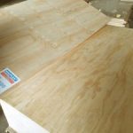 CDX Pine Plywood 2440 x 1220 x 19mm CDX Grade Ply ( Common: 3/4 in. 4 ft. x 8 ft. CDX Project Panel )