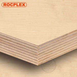 Birch Plywood 2440 x 1220 x 25mm CD Grade ( Common: 4ft. x 8ft. Birch Project Panel )