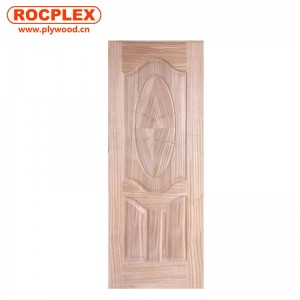 Door Skin