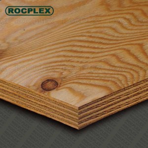 Structural Plywood Sheets 2400 x 1200 x 15mm CD Grade ( For structural Use Ply 15mm ) | SENSO