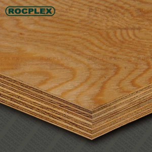 Structural Plywood Sheets 2400 x 1200 x 21mm CD Grade ( For structural Use Ply 21mm ) | SENSO